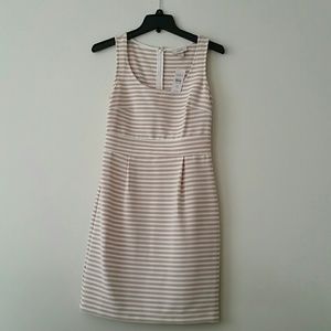 Loft cream striped dress